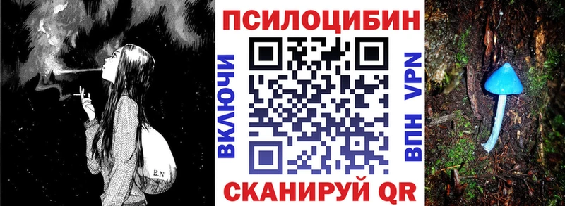 дарк нет телеграм  kraken сайт  Галлюциногенные грибы ЛСД  Кадников  закладка 